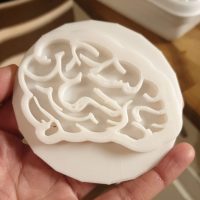 3D printed cookie stamp of brain